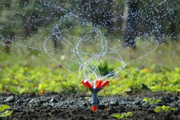 Irrigation & Water Management